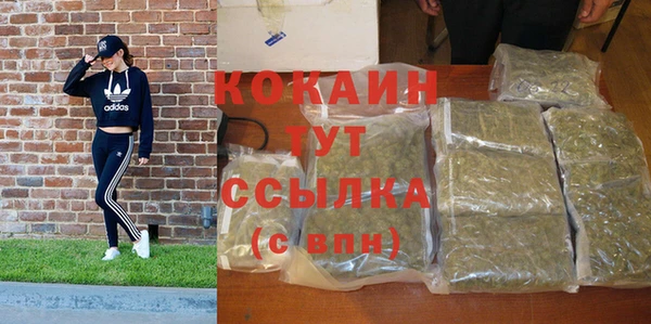 стаф Баксан