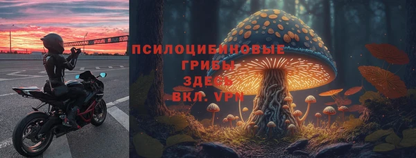стаф Баксан
