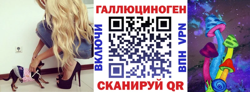 blacksprut ТОР  Кологрив  Псилоцибиновые грибы Cubensis 
